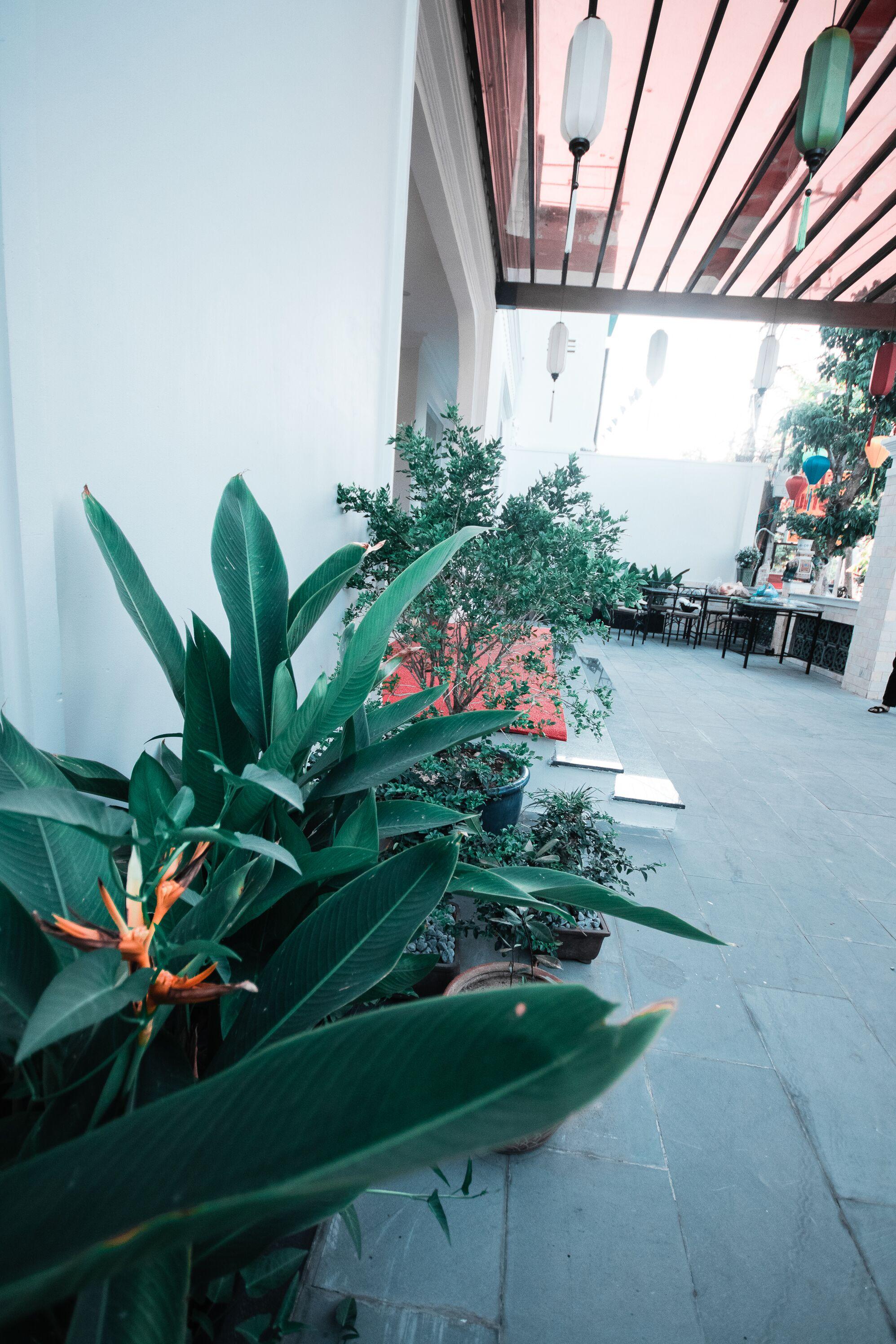 Uptown Hoi An Hotel & Spa Екстер'єр фото